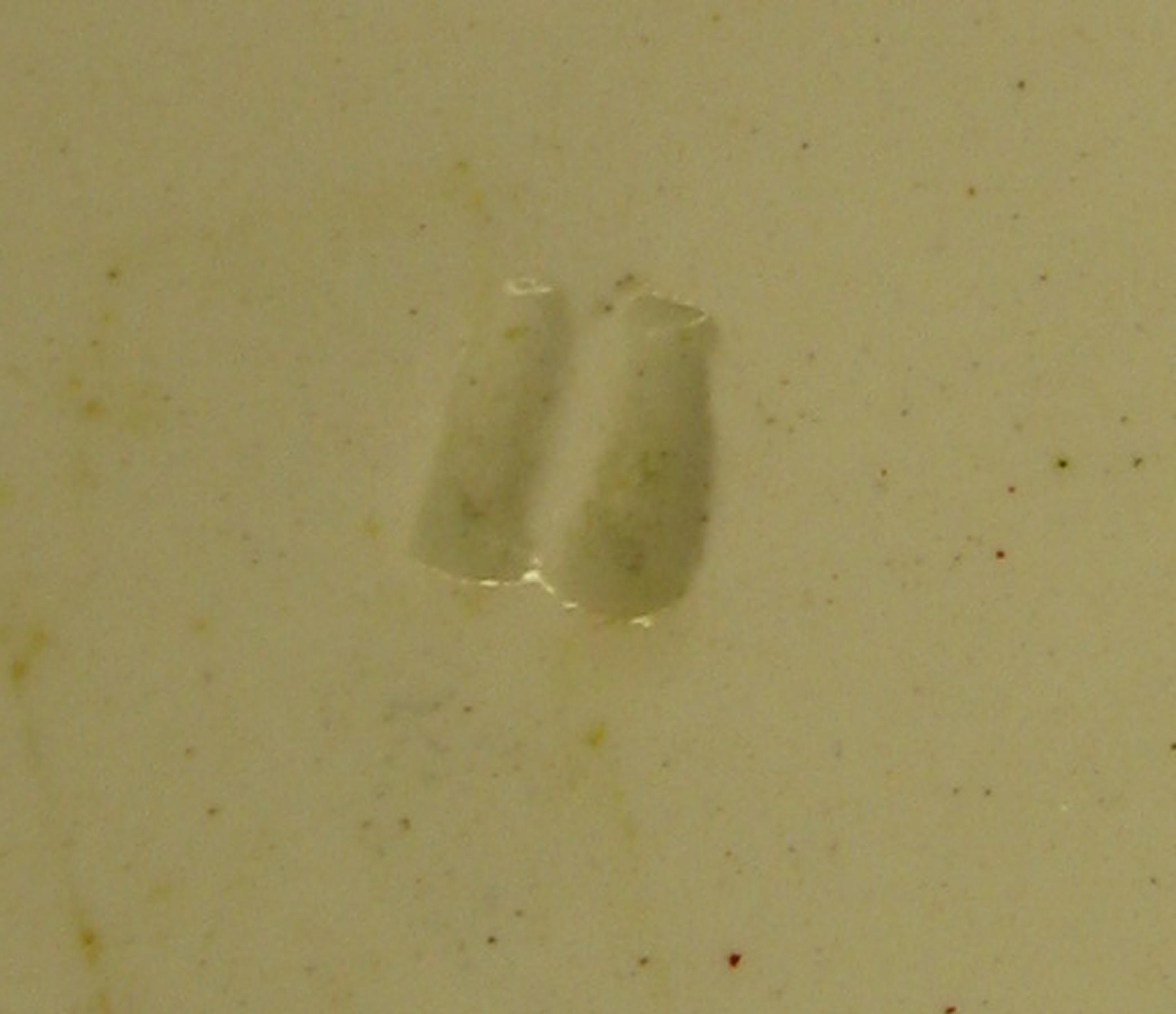 1964.1858.001 Soup plate (mark)