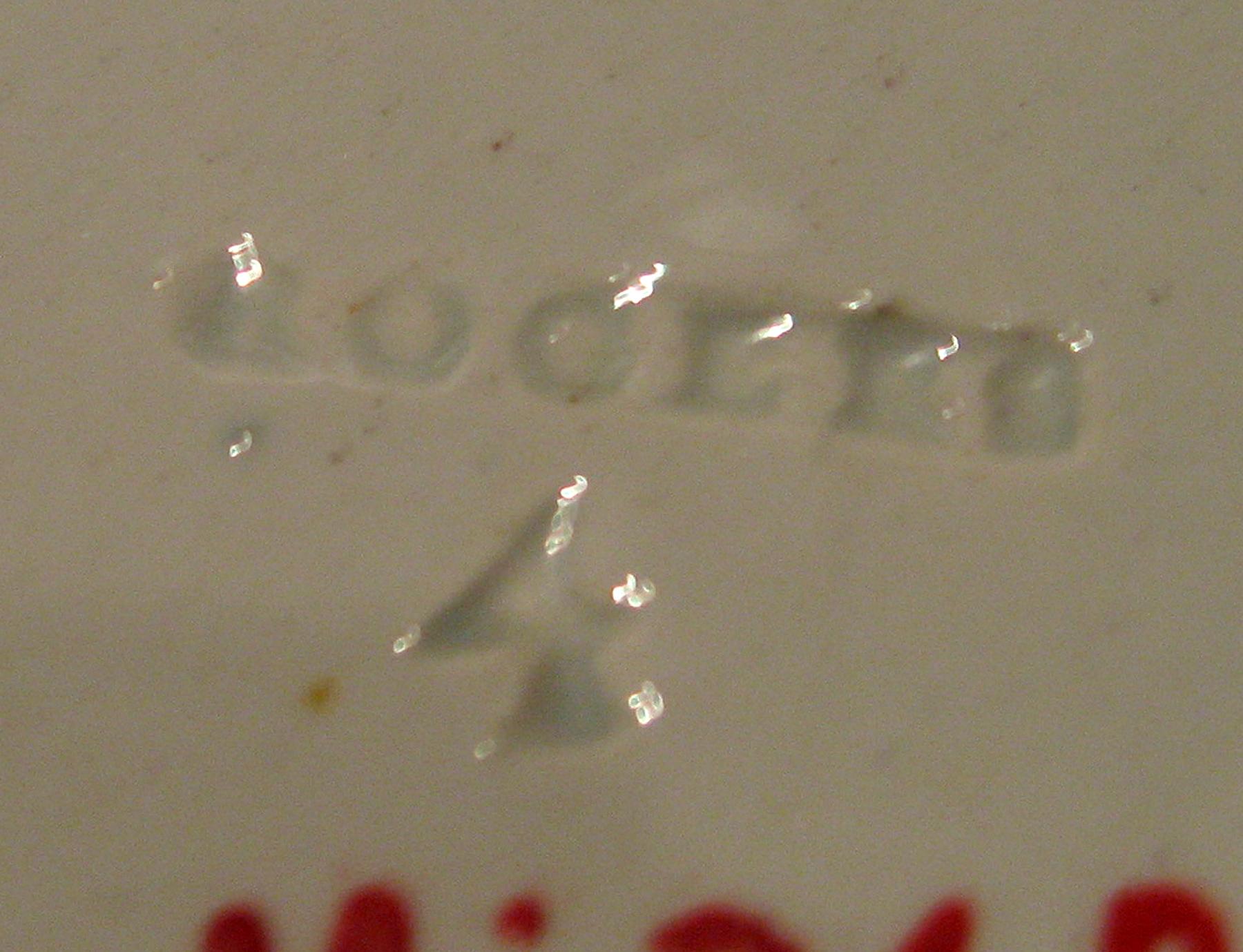 1964.1861 Rogers mark