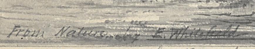1965.0089 Drawing, Detail 4