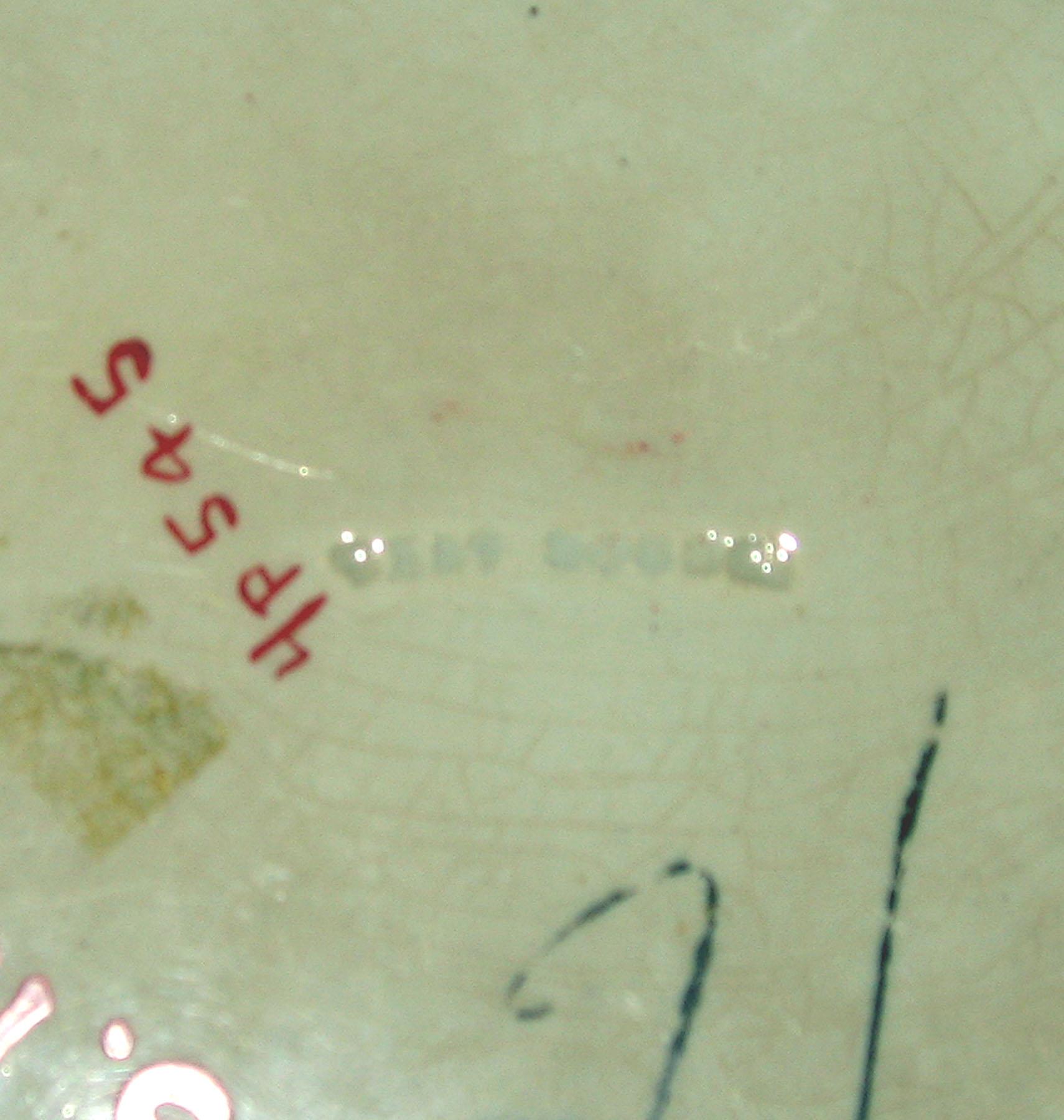 1965.1183 Spatterware plate (detail)