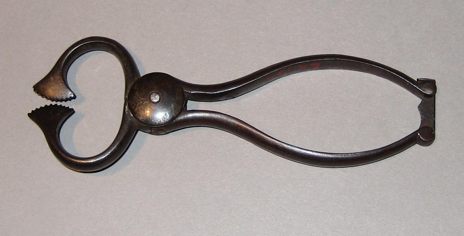 1965.2252 Sugar nippers