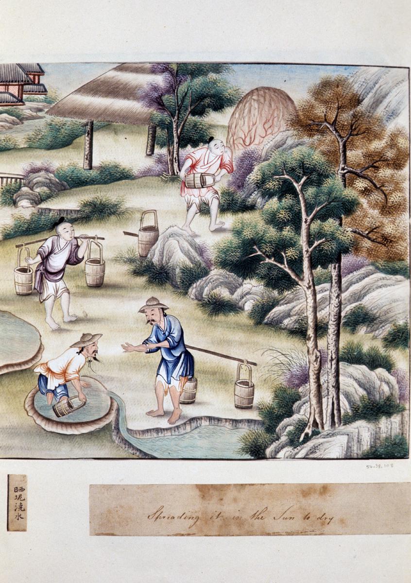 1956.0038.108  Watercolor
