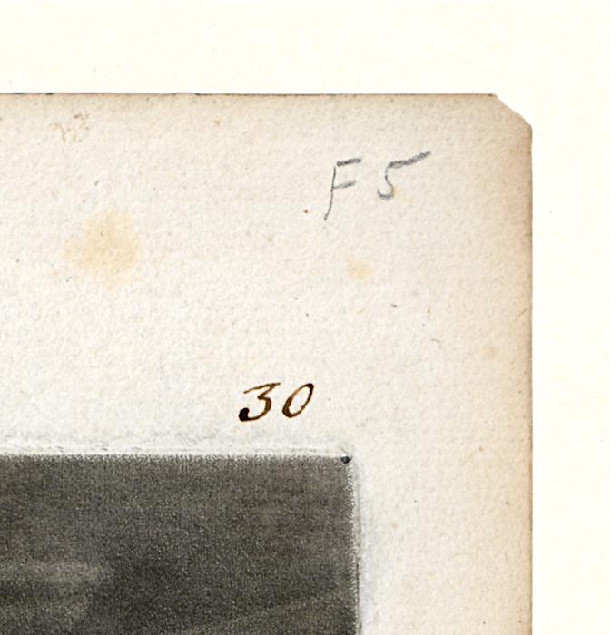 1965.2960 Print, Detail 5