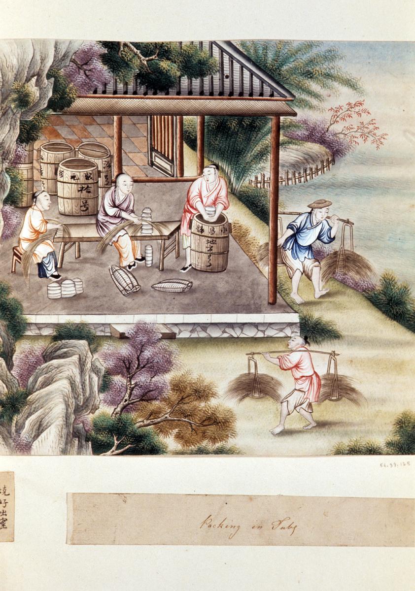 1956.0038.125 Watercolor