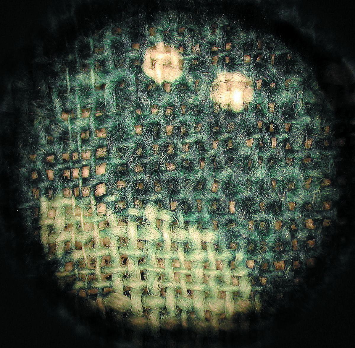 1966.0124.005 Textile, printed, detail, photomicrograph, Book image Fig. 6.08