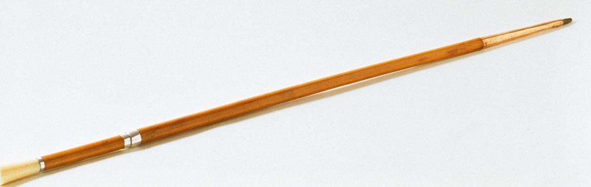 1956.0055.003 Walking Stick