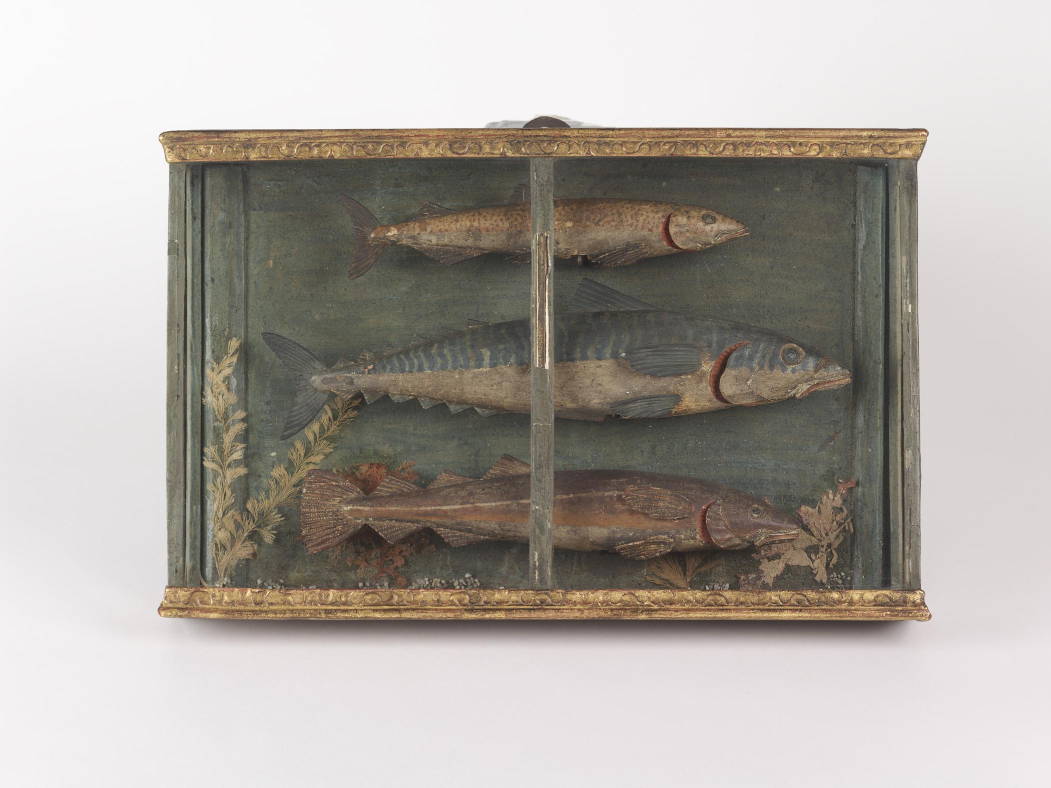 1956.0516 Shadow box