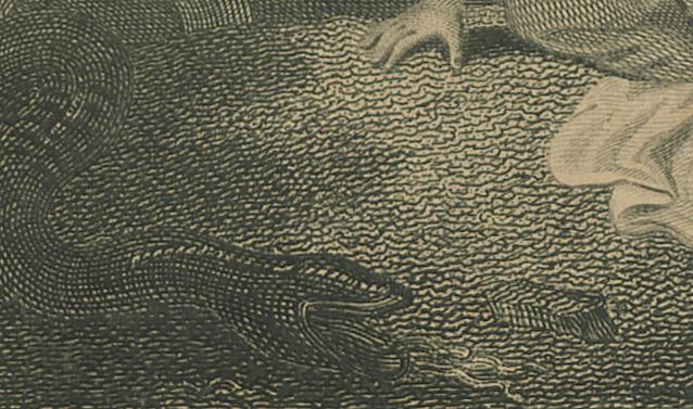 1966.0204 Print, detail 2