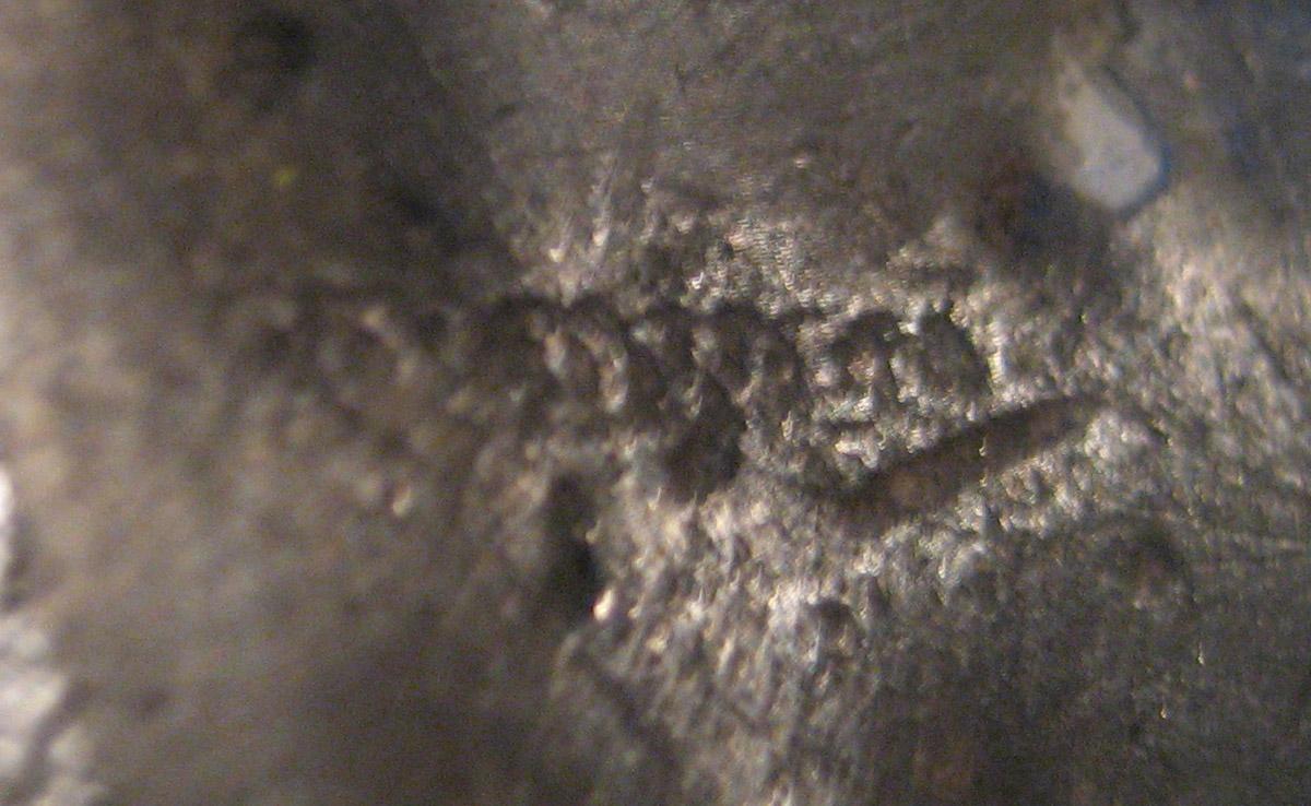 2006.0023 Beaker (mark 1, view 2)