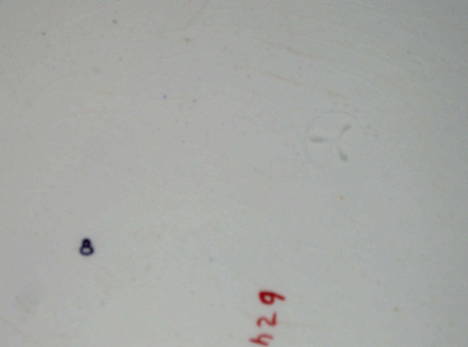 1966.0823.003 Dish (2 marks)
