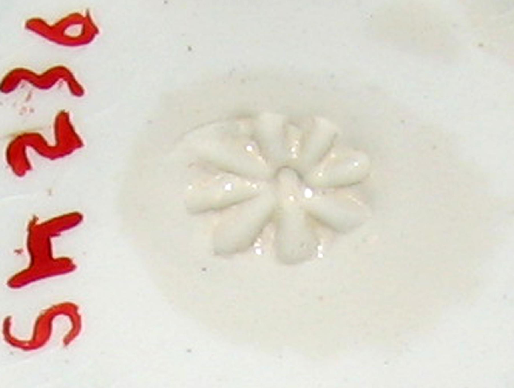 1966.0867.002 Columbus pattern transfer printed cup (mark)