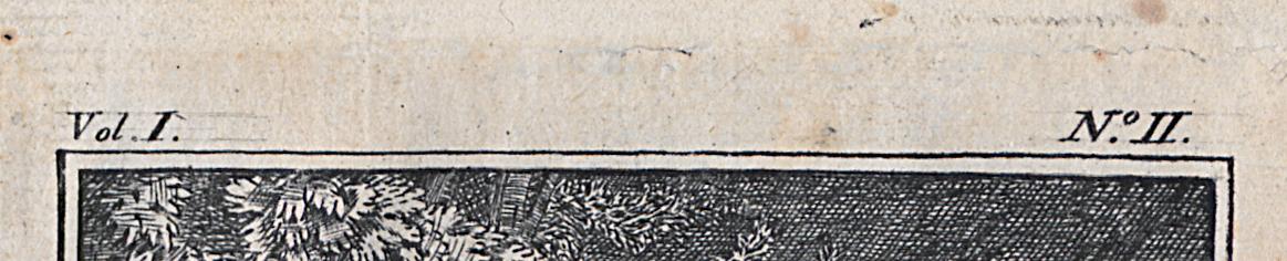 1966.1004 Print, Detail 3