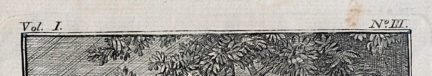 1966.1005 Print, Detail 4