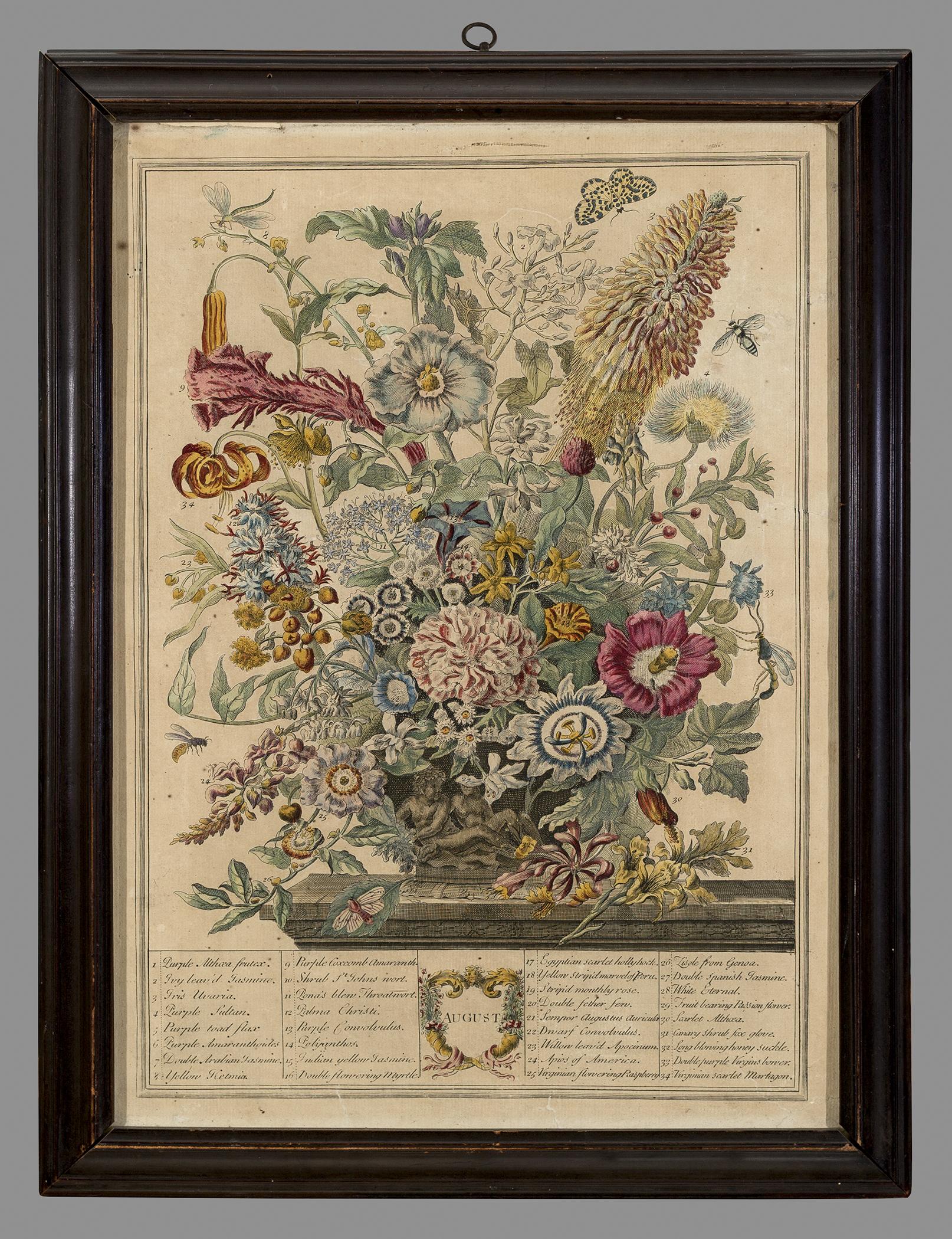 1966.1048.008 A Print, B Frame, view 1