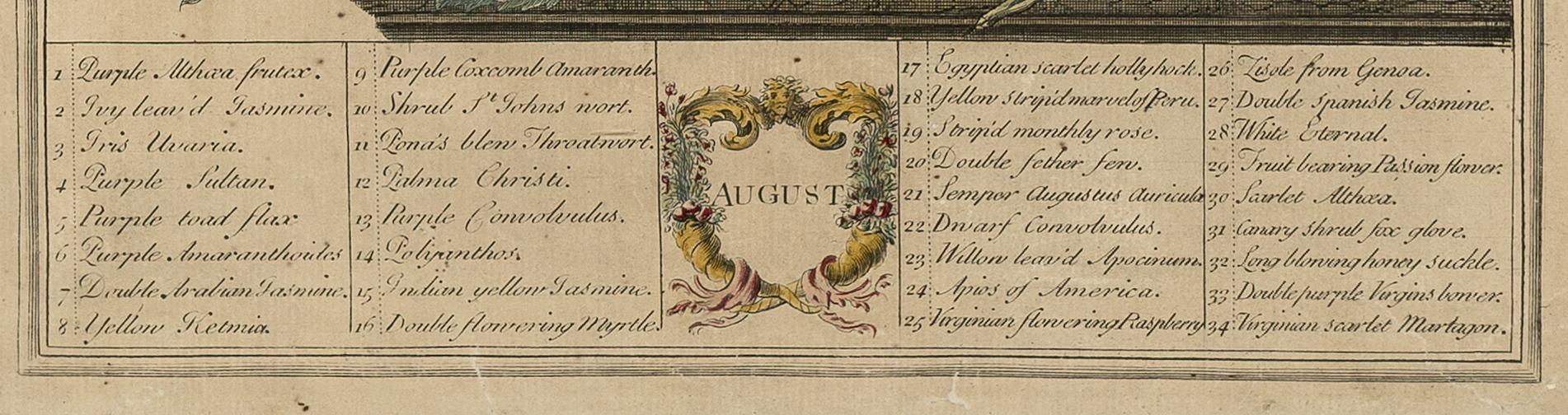 1966.1048.008 A Print, detail 1