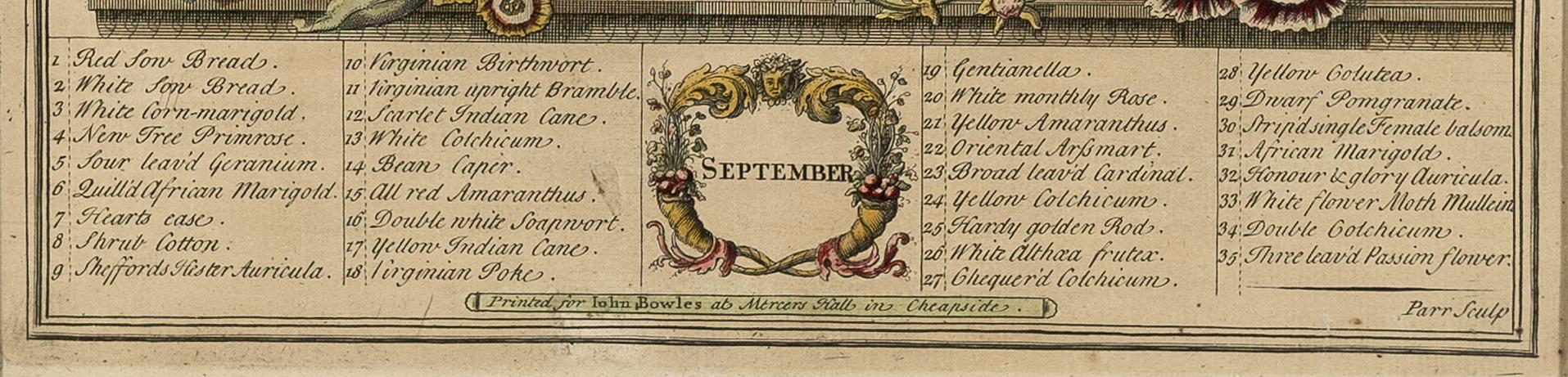1966.1048.009 A Print, detail 1