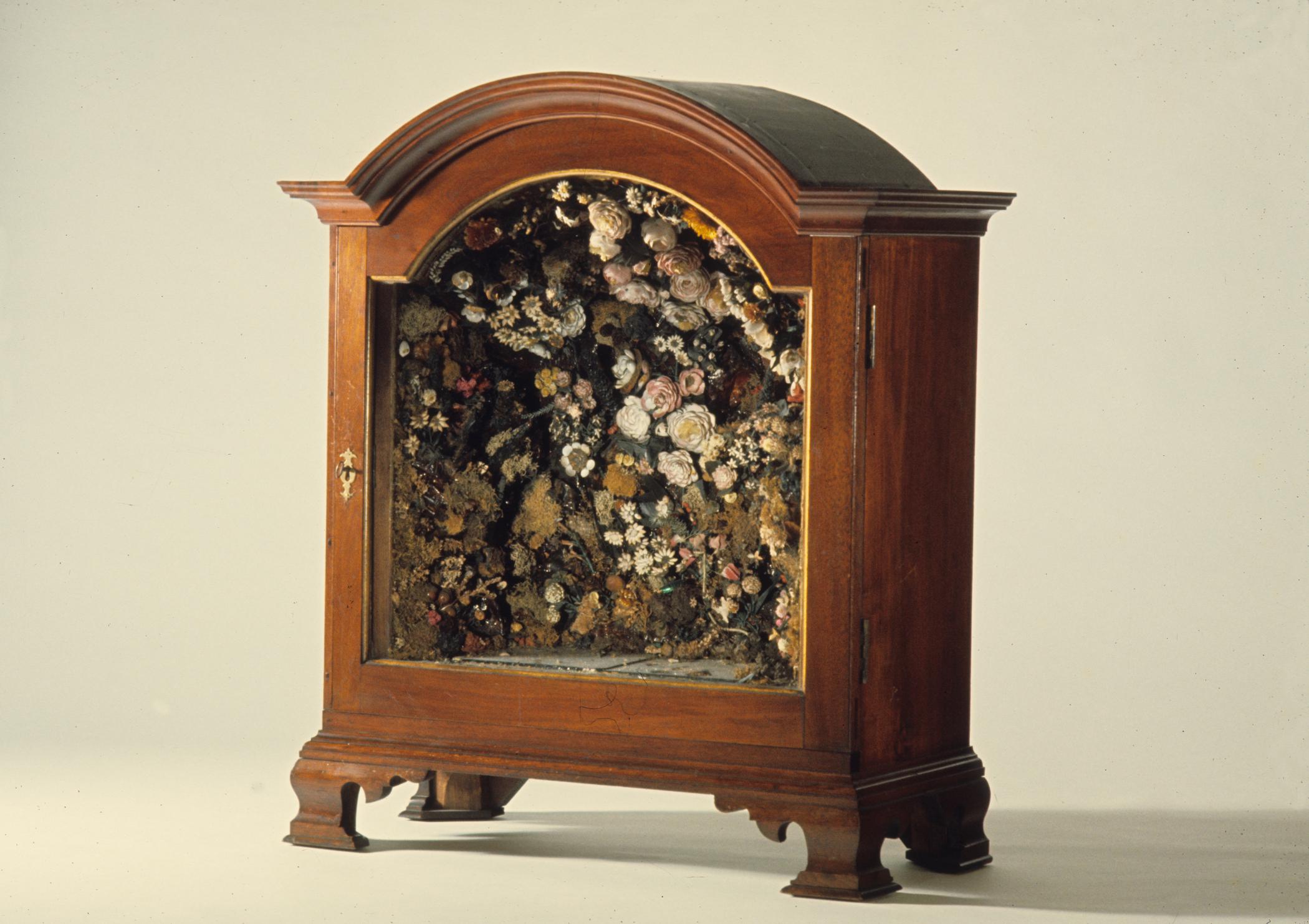 1966.1092, Exhibit case, Shell cabinet, front view 1