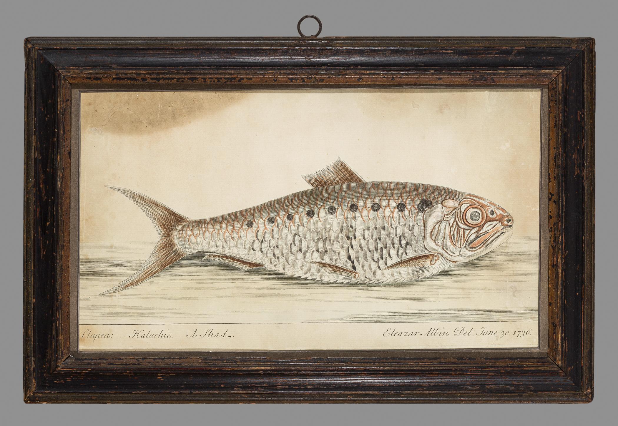 1966.1250 A Print, B Frame, view 1
