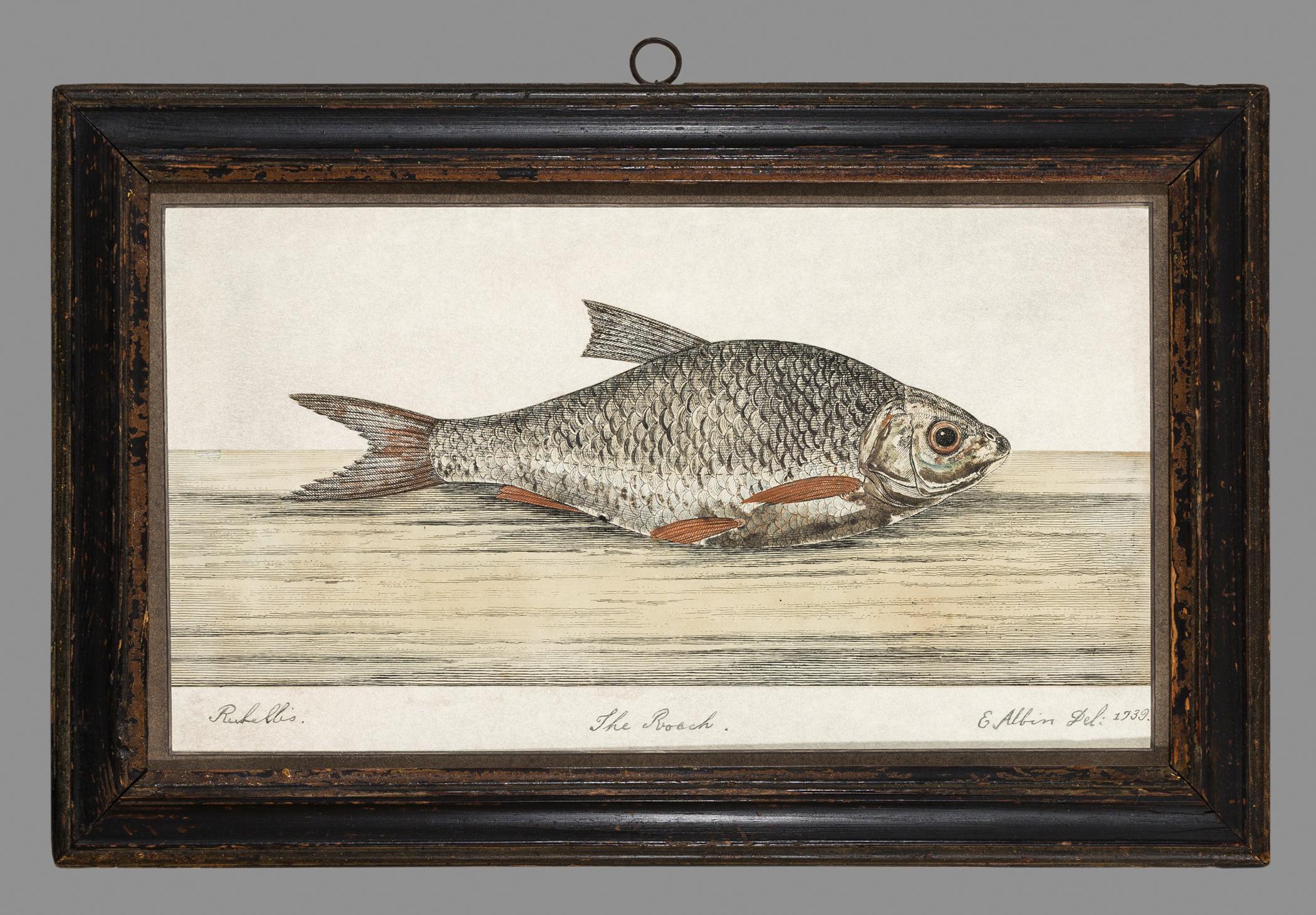 1966.1251 A Print, B Frame, view 1