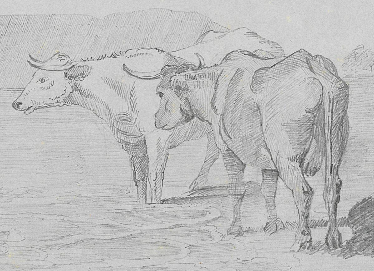 1966.1407 Sketch Book, Page 5 Detail