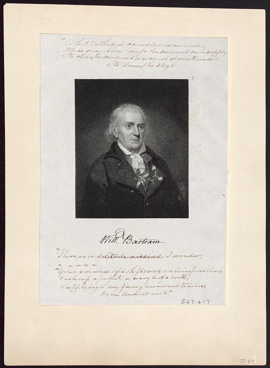 1967.0217 Print