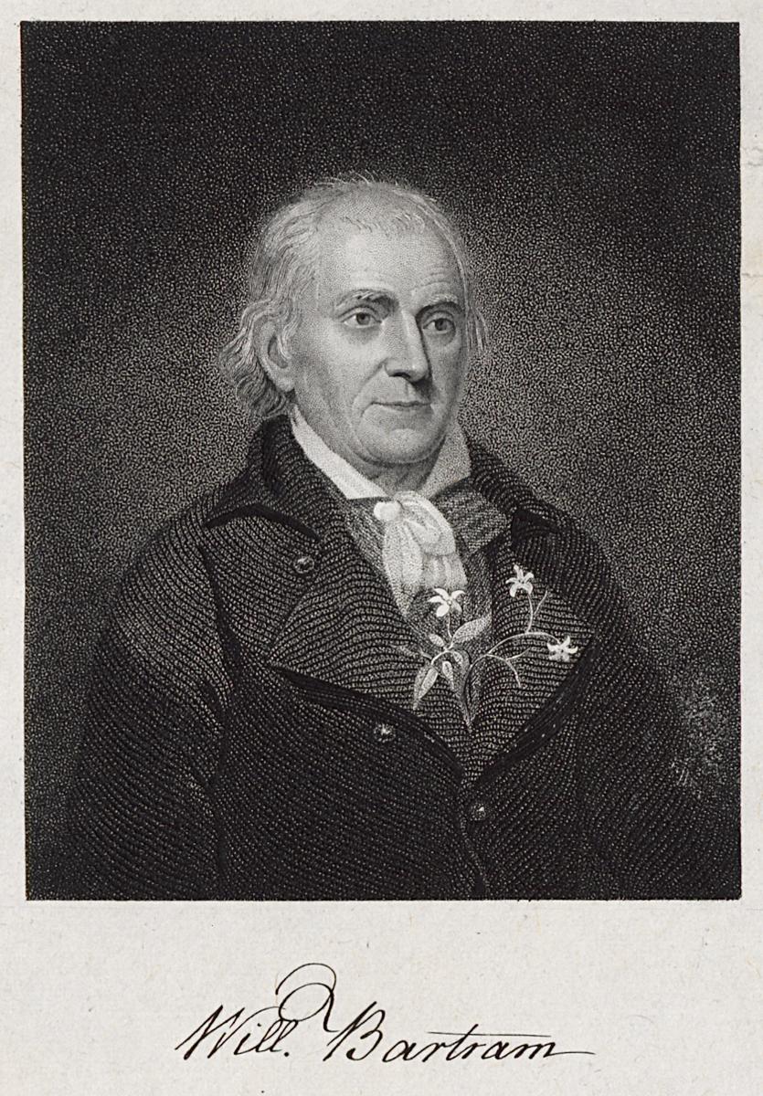 1967.0217 Print, Detail 2