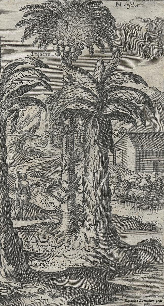 1967.0227 A Print, Detail 3
