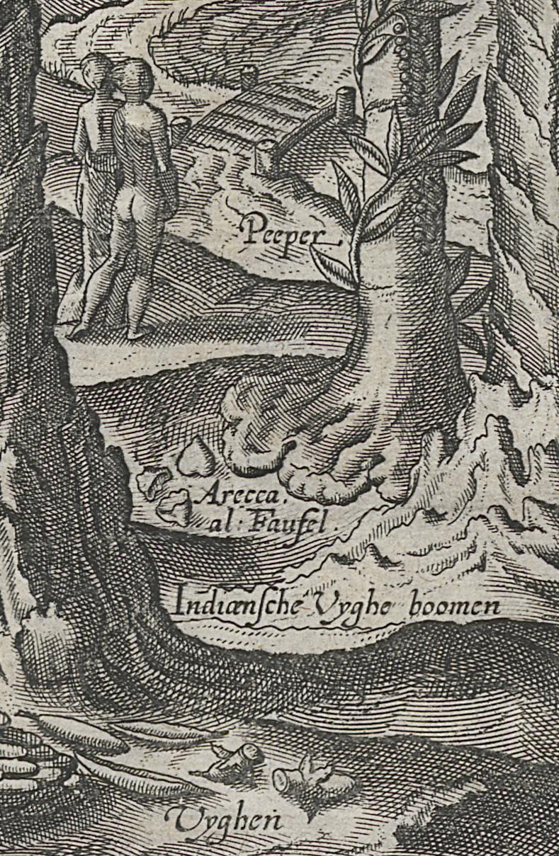 1967.0227 A Print, Detail 7