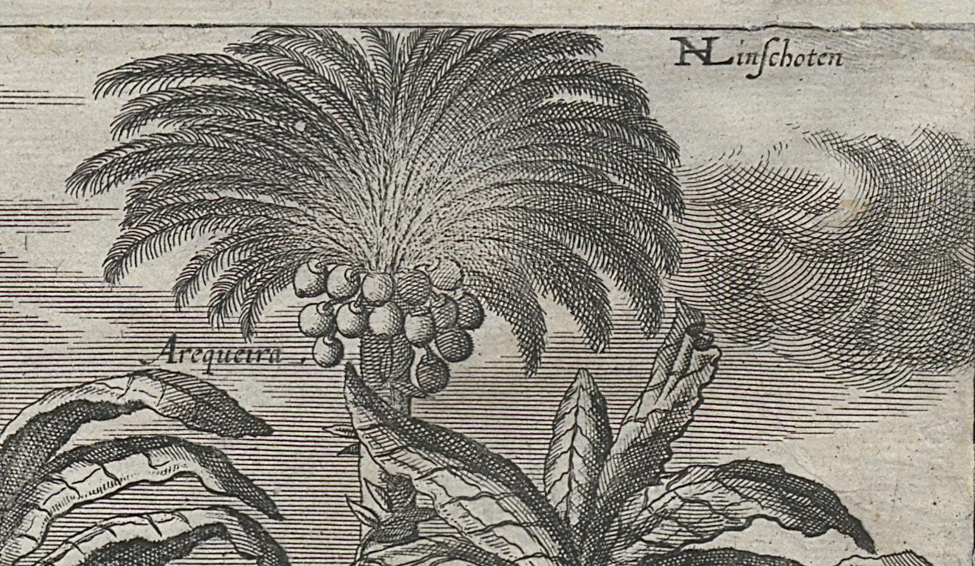 1967.0227 A Print, Detail 8