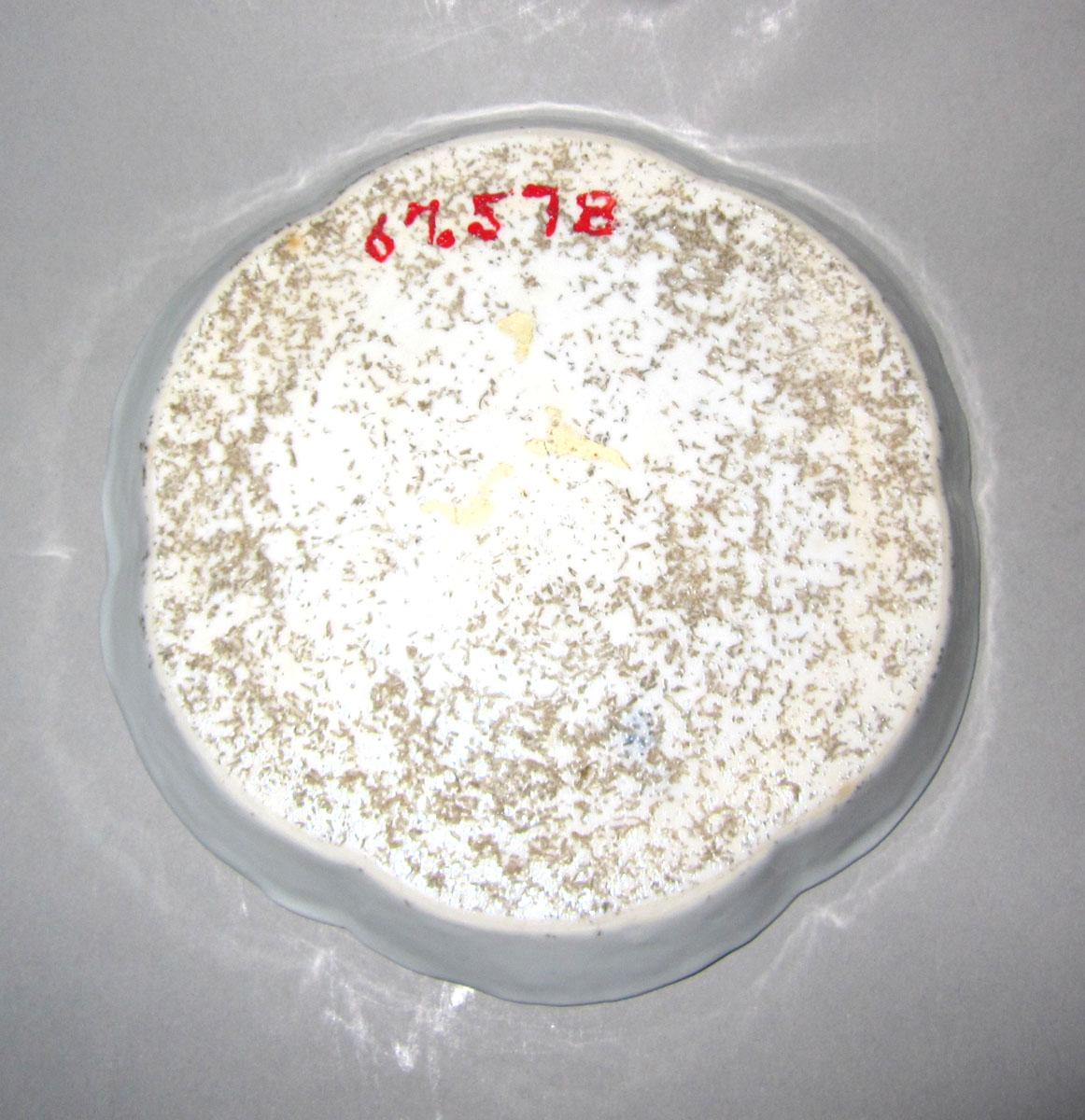 1967.0578 Porcelain dish underside