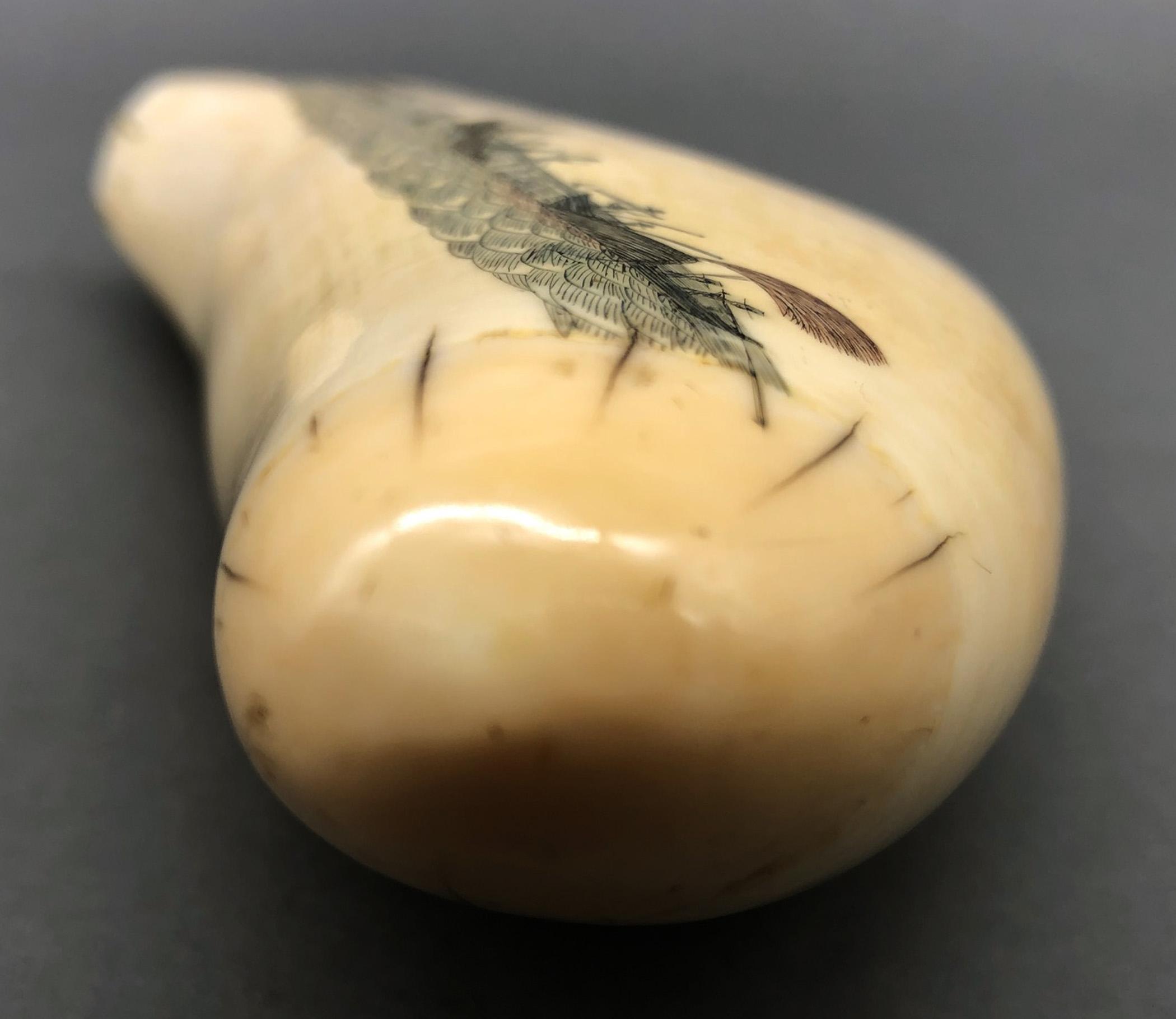 1967.0861 Whale tooth, Scrimshaw tooth, view6 Obverse Tip