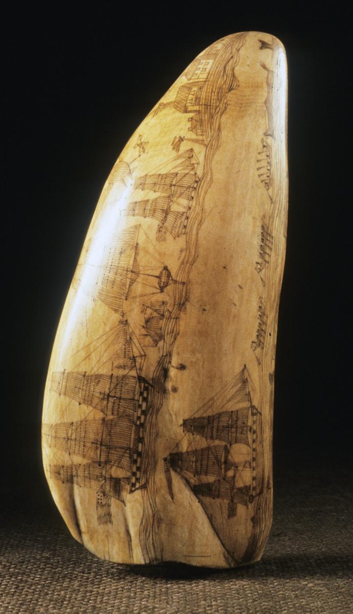 1967.0862 Whale Tooth