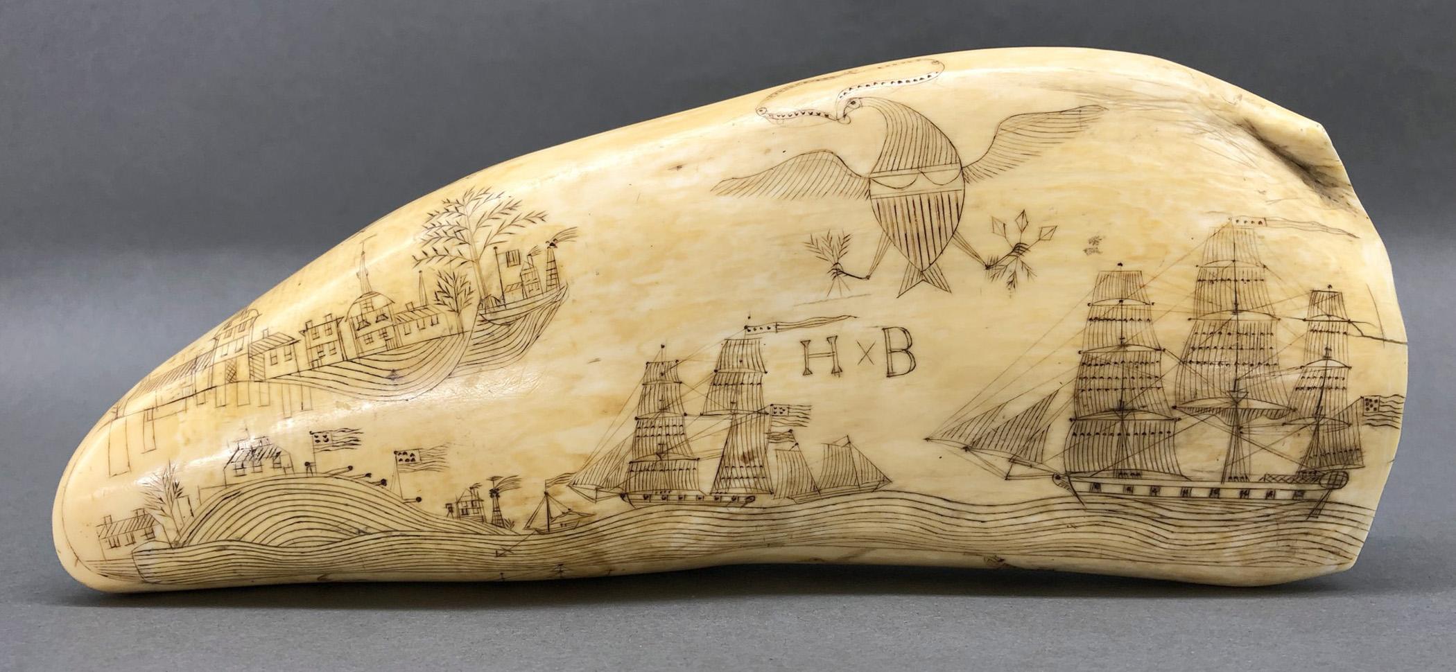 1967.0862 Whale tooth, Scrimshaw tooth, view2 Obverse