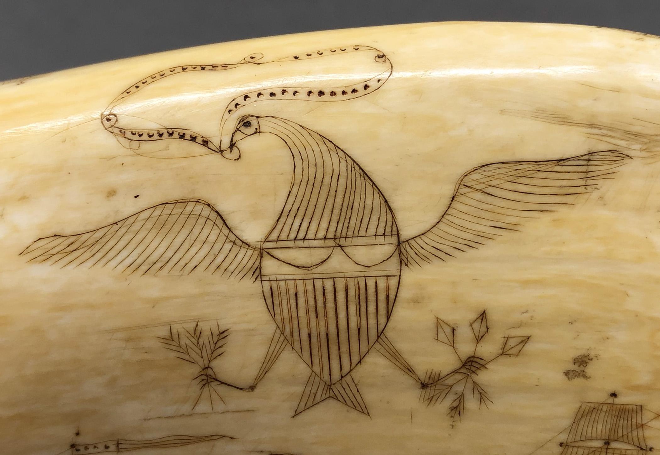 1967.0862 Whale tooth, Scrimshaw tooth, view6 Obverse detail
