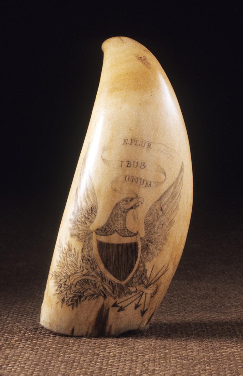 1967.0868 Scrimshaw