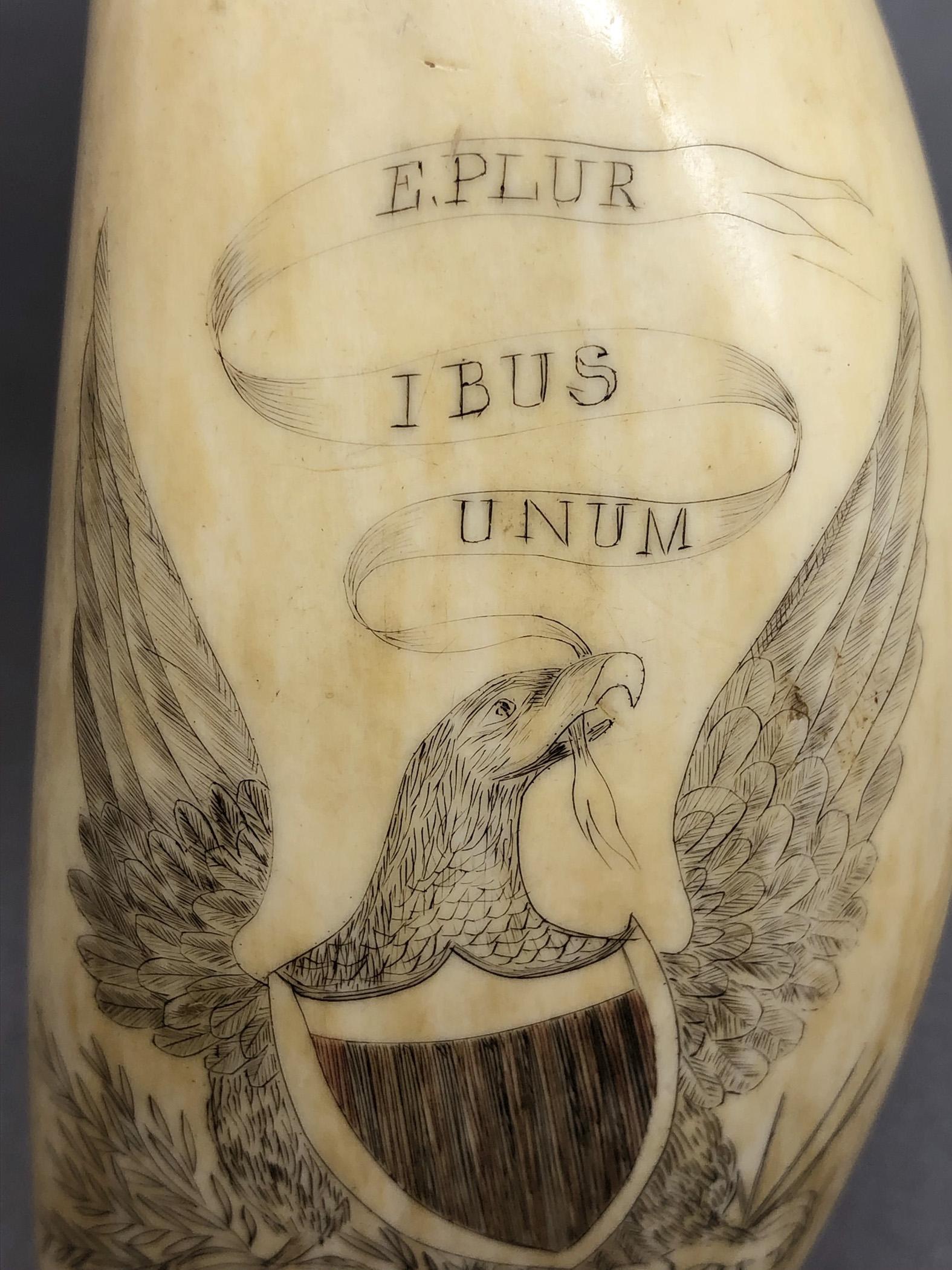 1967.0868 Whale tooth, Scrimshaw tooth, view3 Obverse detail