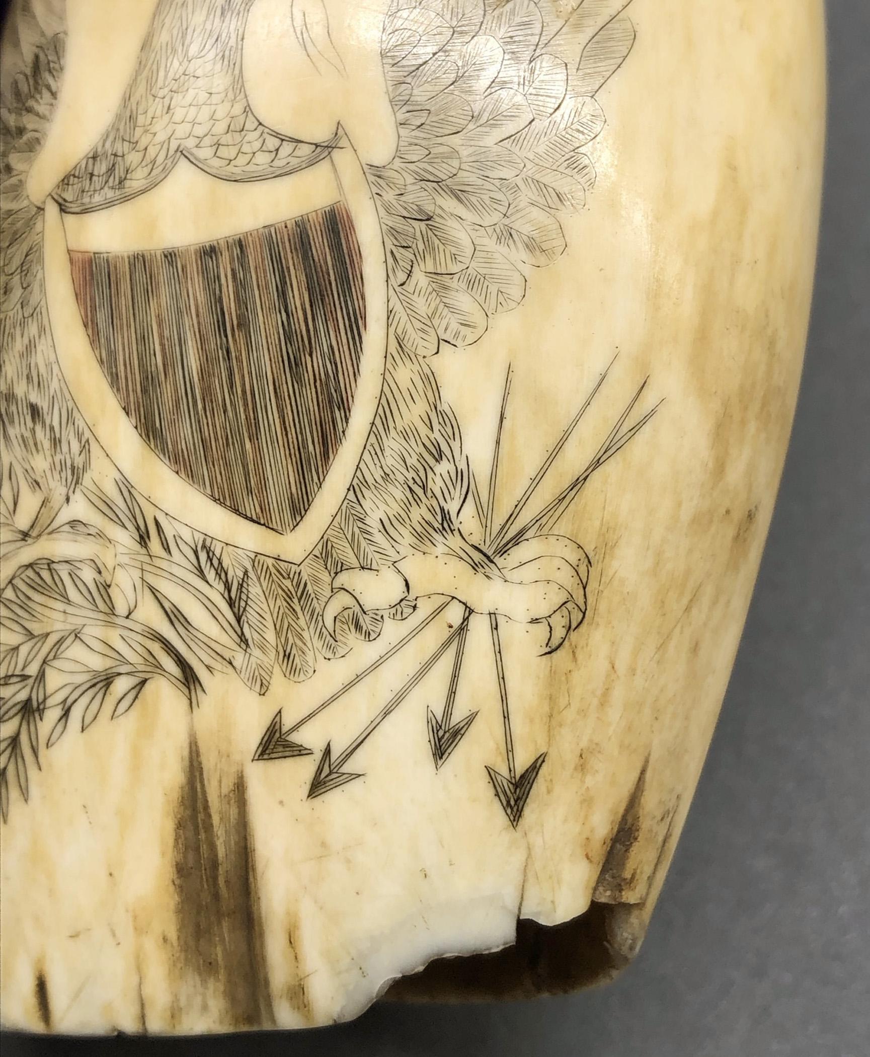 1967.0868 Whale tooth, Scrimshaw tooth, view4 Obverse detail