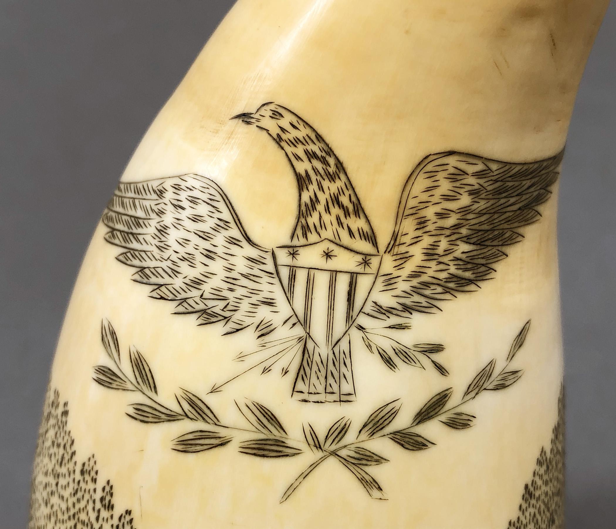 1967.0875 Whale tooth, Scrimshaw tooth, view10 Reverse Eagle