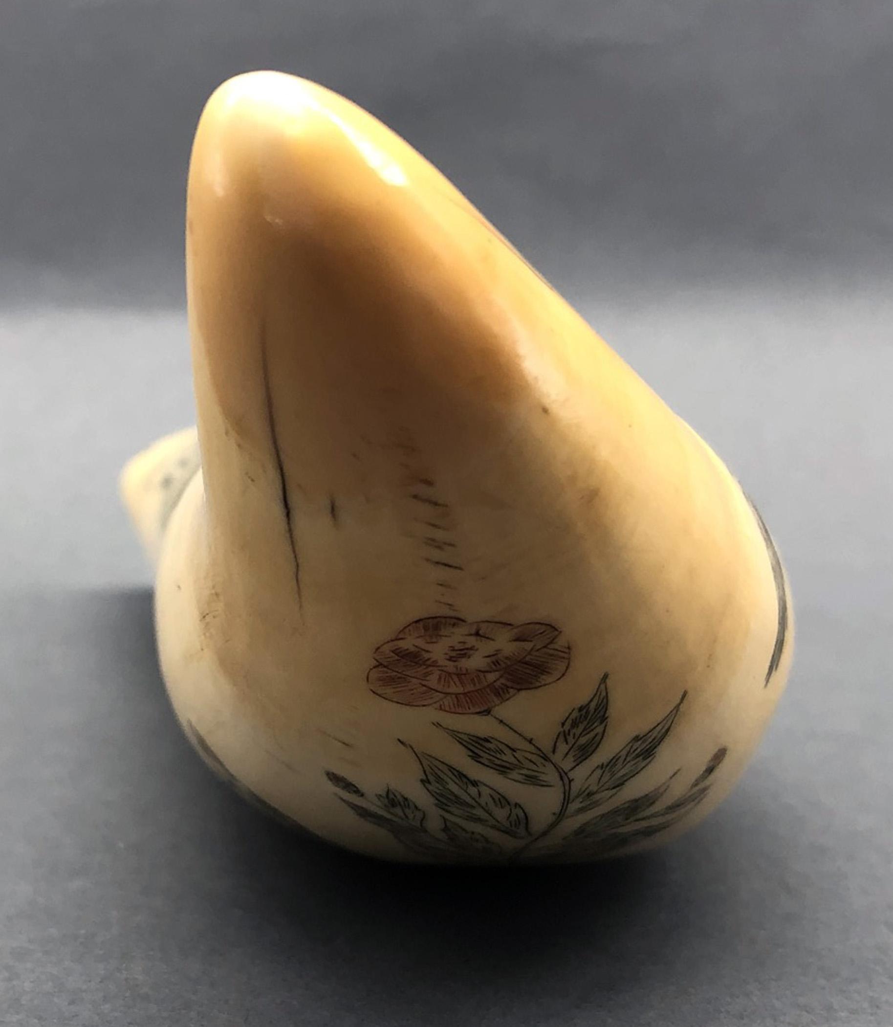 1967.0875 Whale tooth, Scrimshaw tooth, view13 Reverse Tip