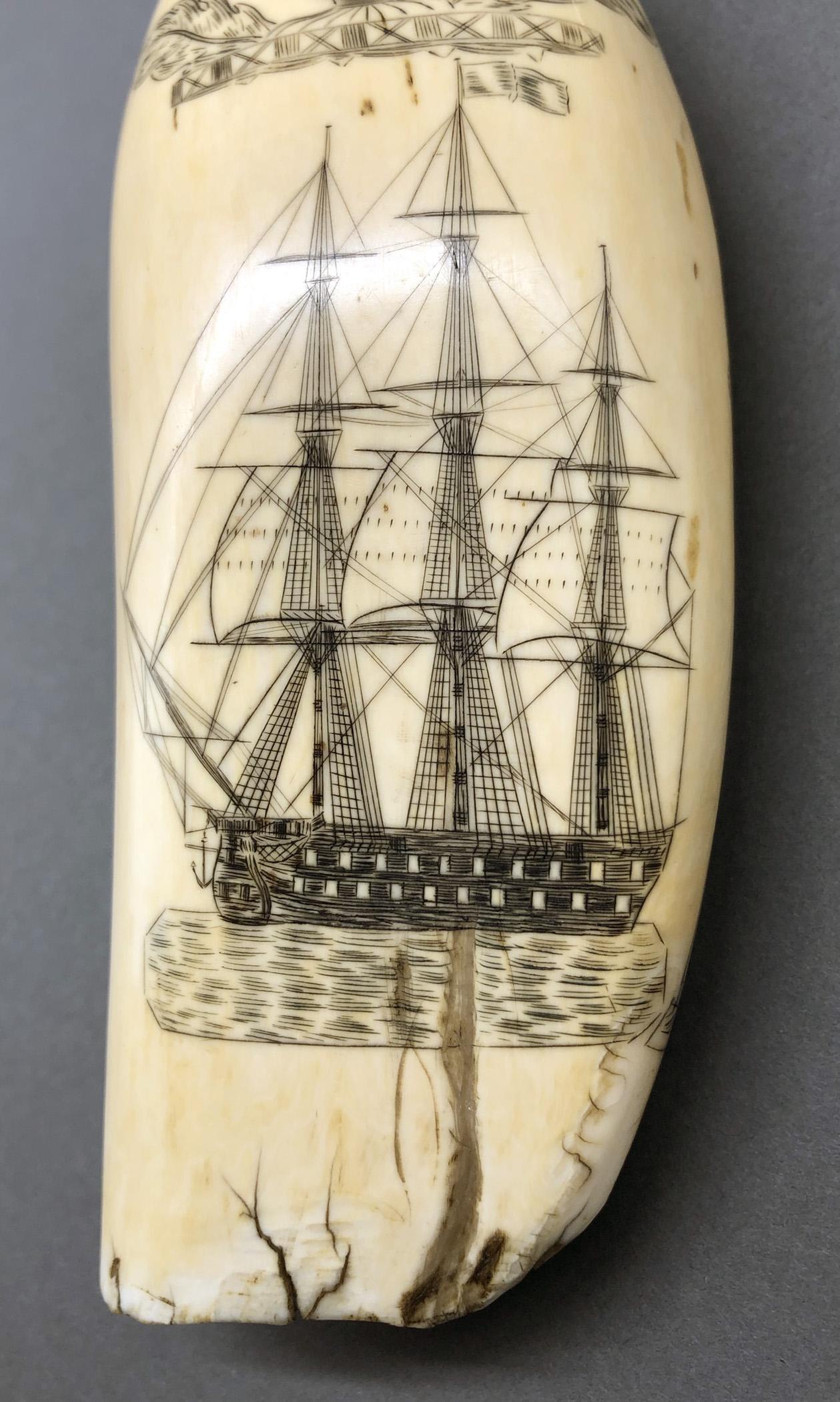 1967.0875 Whale tooth, Scrimshaw tooth, view2 Obverse detail Ship