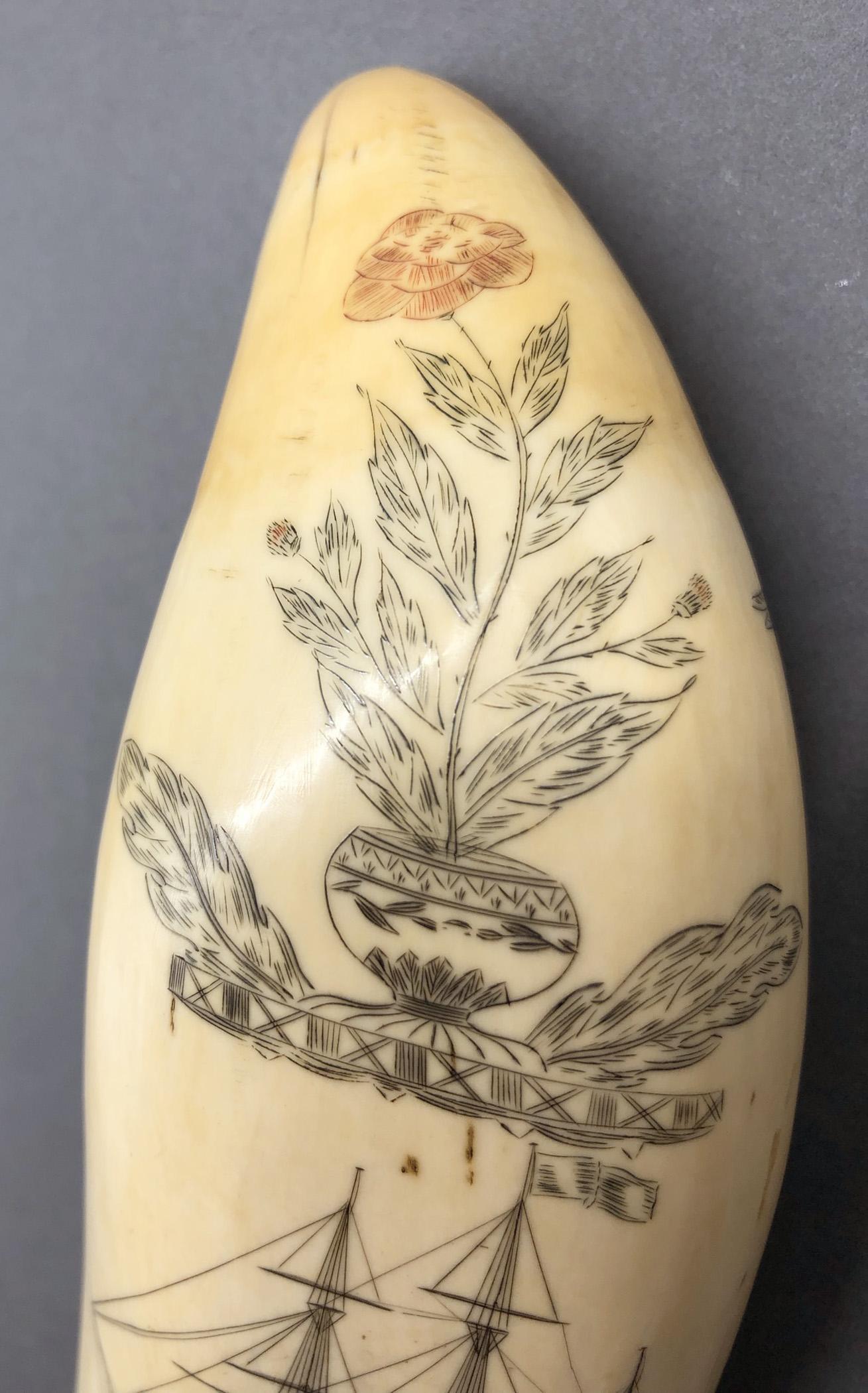1967.0875 Whale tooth, Scrimshaw tooth, view3 Obverse detail flower