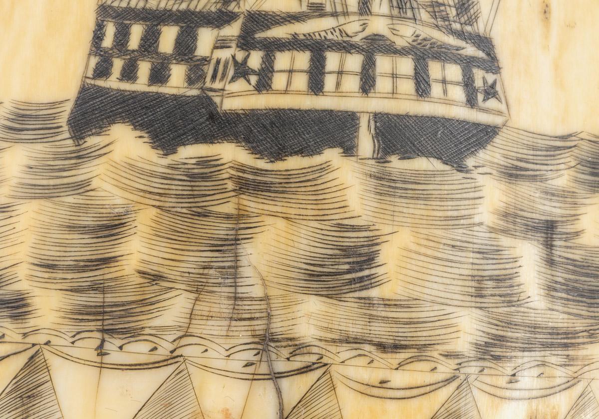 1967.0876 Whale tooth, Scrimshaw tooth (detail 6)