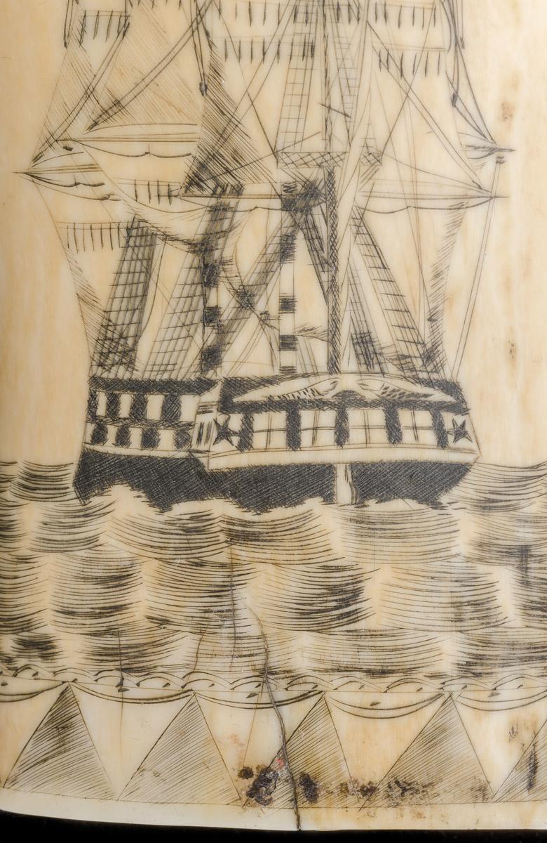 1967.0876 Whale tooth, Scrimshaw tooth (detail 8)