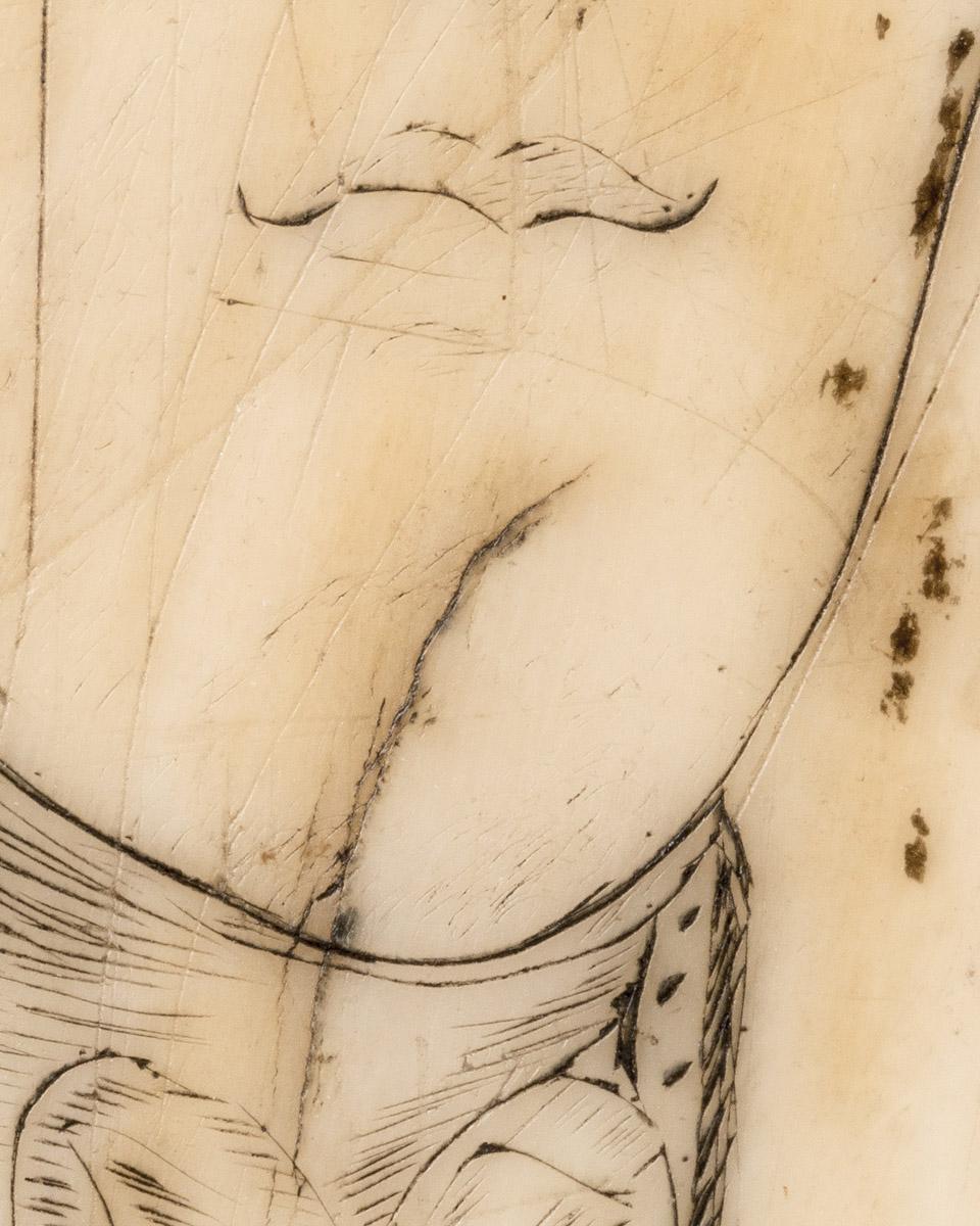 1967.0876 Whale tooth, Scrimshaw tooth (detail 10)