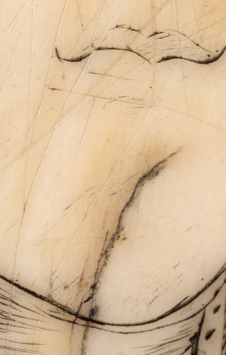 1967.0876 Whale tooth, Scrimshaw tooth (detail 11)