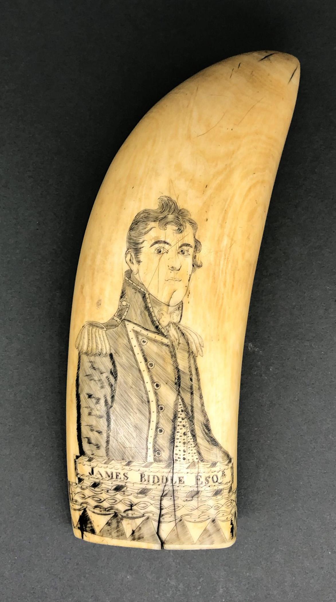 1967.0876 Whale tooth, Scrimshaw tooth, view1 Obverse