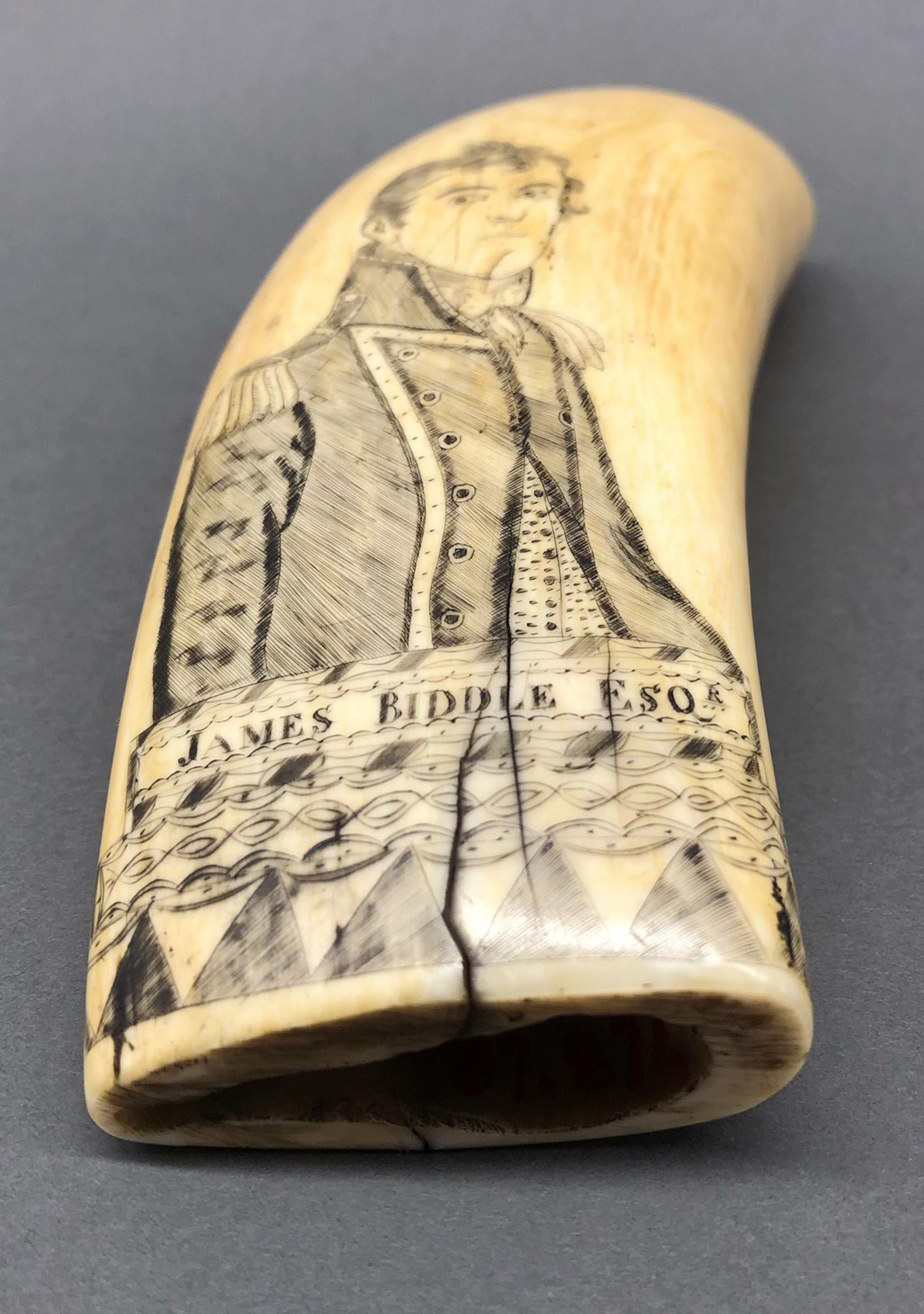1967.0876 Whale tooth, Scrimshaw tooth, view6 Obverse Base