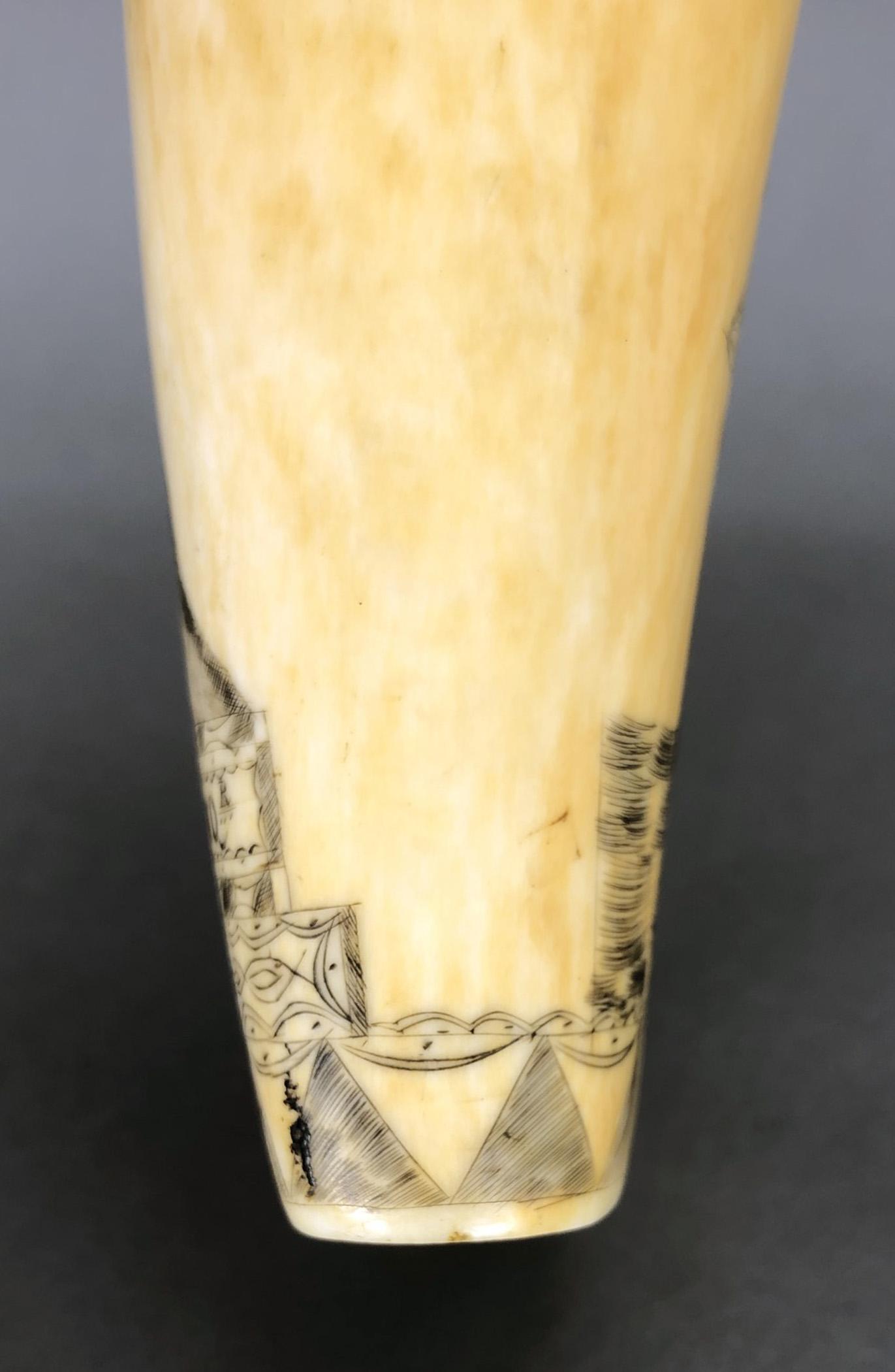1967.0876 Whale tooth, Scrimshaw tooth, view10 ToothEdge