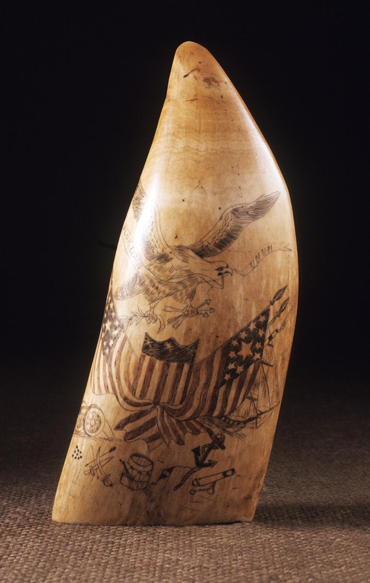 1967.0877 Whale tooth