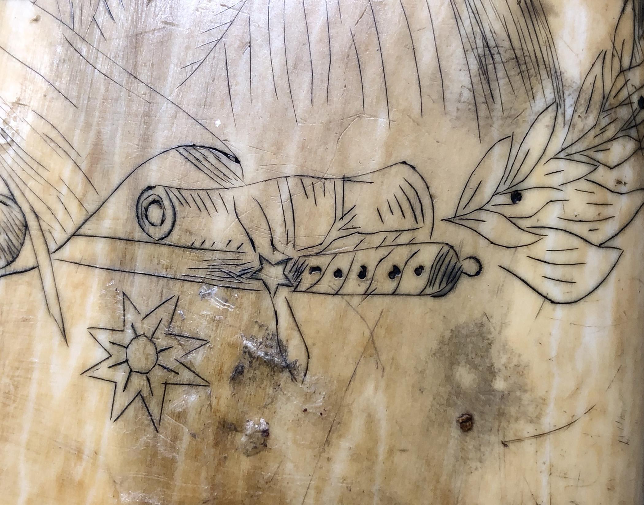 1967.0877 Whale tooth, Scrimshaw tooth, view11 Reverse detail